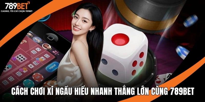 Cách chơi xí ngầu