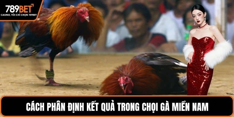 Cách phân định kết quả trong chọi gà miền nam