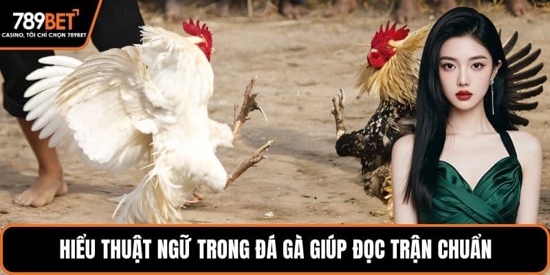 Hiểu thuật ngữ trong đá gà giúp đọc trận chuẩn