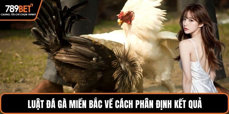 Luật đá gà miền bắc về cách phân định kết quả