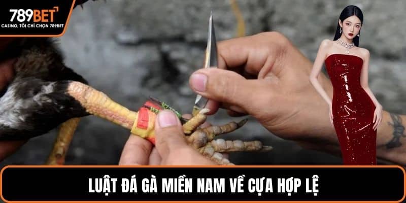 Luật đá gà miền nam về cựa hợp lệ