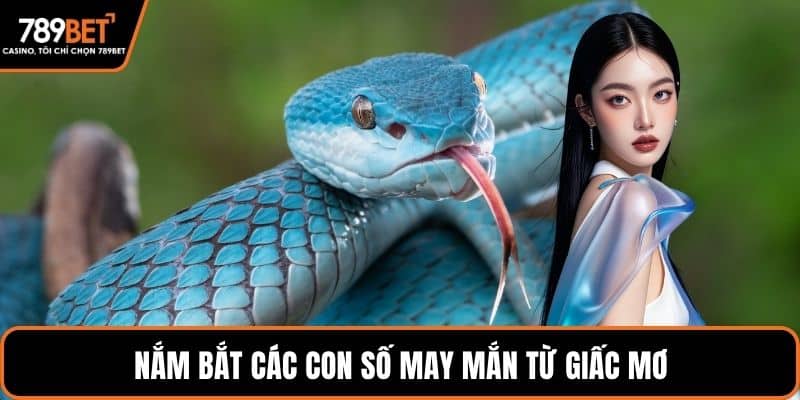 Nắm bắt các con số may mắn từ giấc mơ