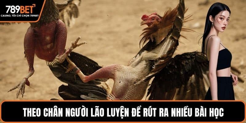 Theo chân lão luyện để rút ra nhiều bài học