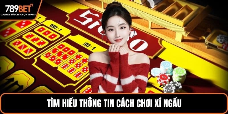 Tìm hiểu thông tin cách chơi xí ngầu