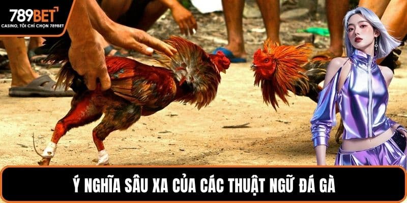 Ý nghĩa sâu xa của các thuật ngữ đá gà